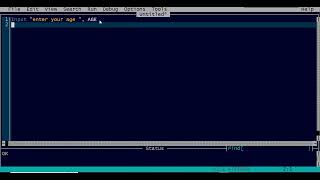 QBASIC LESSON 11; Input