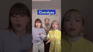 【ハモってみた】Overdose／なとり 【Rabbit Cat】#Shorts