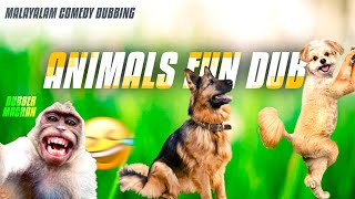 Animals fun dub | Malayalam | Comedy dubbing | Funny Animals | #animals #funnyvideos #dubbing