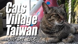 Visiting Houtong Cat Village 🐈🐈🐈 | Ruifang, New Taipei Taiwan