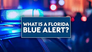 What is a Florida Blue Alert