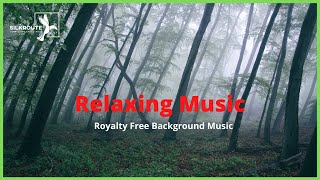 🔴[No Copyright] Soothing Relaxation Music, Spa, Insomnia, Meditation,Sleep by Silkroute Background