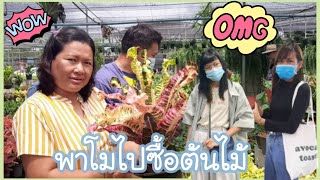 Vlog W/Family EP.1ไปซื้อต้นไม้ที่หมู่บ้านไม้ดอกไม้ประดับ คลอง15 นครนายก | Mugglenoey