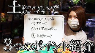 花や園芸の土の選び方・購入するときのポイント 培養土と元肥について【おうちでガーデニング】開花園チャンネル