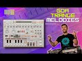 Tutorial : Goa Trance Melodies - How to Make Them Stand Out ( Ableton Live 11 )