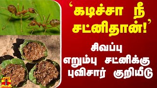 `கடிச்சா நீ சட்னிதான்!' - சிவப்பு எறும்பு சட்னிக்கு புவிசார் குறியீடு