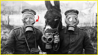50 Rare Moments Captured That History Tried to Bury