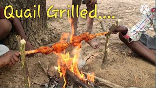 kaadai grilled | quail grilled | pullingo cooking👨‍🍳