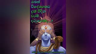 වරමක් තිබෙන බව නොදැන විදේශ ගතව දුක් විදිනවා ද...?