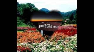 แหล่งท่องเที่ยวฝาง  ไชยปราการ.wmv