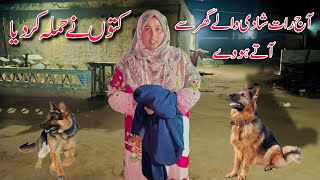 Ajj Raat Shadi Walay Ghar Say Aatay Hovay || Kutoon Nay Hamla Kar Dia || Village Family Vlogs || M V