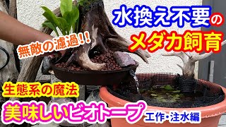 【玄関ビオトープ】ほぼダイソーで作る！ 睡蓮鉢のメダカビオトープ（工作・注水編）　メダカと亀が野菜を育てるビオトープ 1