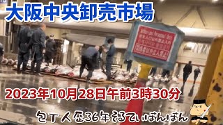 #197【大阪中央卸売市場を歩く】【行き30分、市場30分、帰り30分】2023年10月28広げる(土)午前3時30分