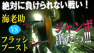 海老助VSフラッシュブースト　どっちが釣れるか検証！ジャンボアカイカ出たっ!!!