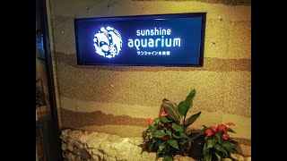 池袋 サンシャイン水族館に行ってきたよ🐬🐧🐟 2021-08-10