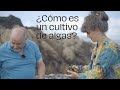 ¿Cómo es un cultivo de algas? - Entrevista LIFE MENUdaTIERRA