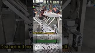 Blueberry machinery sorter grader berries sorting grading machine blackberry calibration equipment