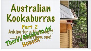 Kookaburra Nest box .Part 2.