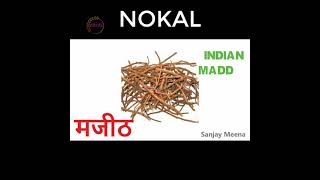 Part - 7 | मसालों के नाम | Spices Name | Learn Hindi and English words Meaning with Pictures