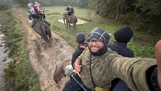 Elephant Safari | Kaziranga National Park | Day10- 7 Sisters Ride