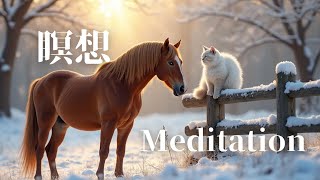 瞑想 Lofi Meditation Sound 癒し❄️馬と猫❄️Snowy landscape with  horse and cat