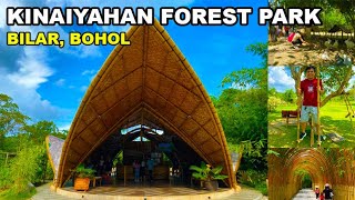 The Best Nature Experience at Kinaiyahan Forest Park in Bohol