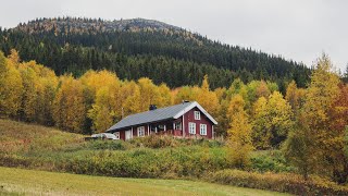 AUTUMN IN NORWAY | #15 Life in Norway