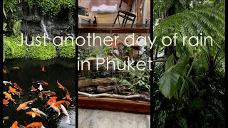 Rainy day in Phuket | Raga cafe | Paradai cafe | Shan coffee