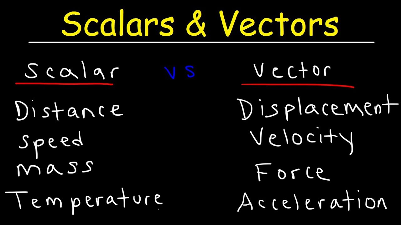 Scalars And Vectors - YouTube