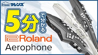 【5分で分かる！】話題のデジタル管楽器「Aerophone」ってどんな楽器？初心者でも楽しめる？