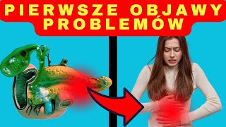 Pierwsze objawy problemów z trzustką, które możesz ignorować