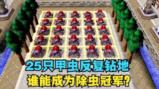 魔兽争霸3：25只甲虫反复钻地，谁能成为除虫冠军？