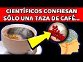 El café salva tu hígado Descubre cómo