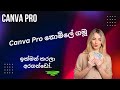 How To Get Canva Pro Team Invite Link | Sinhala Canva Pro නොමිලේ ගමූ ඉක්මන් කරලා අරගන්ඩෝ..