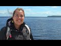 ▶️ 🐳 vlog observation des baleines au québec canada