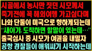 [반전실화사연] 농사만 짓던 시모께서 해외여행 가고 싶다며 단둘이 미국으로 가는데 “새아가 도착하면 할 말이 있는데” 출국 심사중 시모가 여권을 내밀자 경찰들이 에워싸기 시작하는데