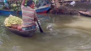 Floating Guava Market, Barishal (Vimruli- Atghar Kuriana)