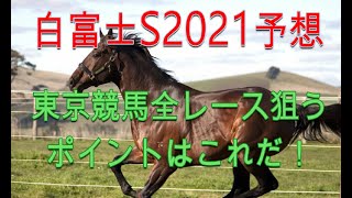 【白富士ステークス 2021 予想】東京競馬場の芝全レース狙い目ポイントはこれだ！【競馬 予想】