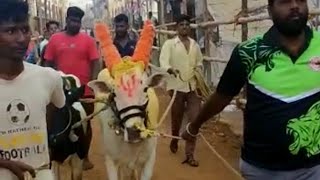 Bol reddiyar kenjavai mass entry in old katpadi