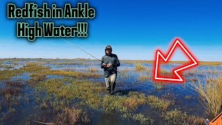 Unreal Fishing Trip in Rockport Tx - Fishing Redfish Tailing in Flooded Grass