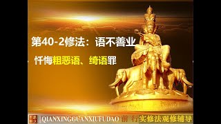 前行实修法--法师辅导+法师带修 40-2 语不善业之忏悔粗恶语、绮语罪