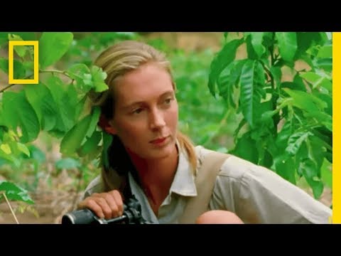 What is an interesting fact about Jane Goodall?