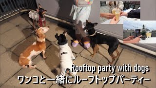 Min Pin | Rooftop party