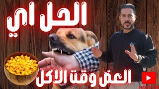 اكبر مشكله زوم وعض الكلب وقت الاكل وكيفيه علاجها