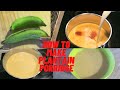 HOW TO MAKE PLANTAIN PORRIDGE | JAMAICAN STYLE