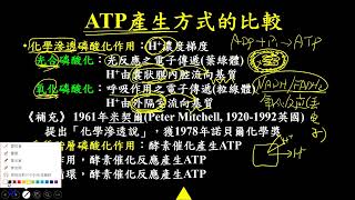 11301選修生物(一)2-2-10ATP產生方式的比較-化學滲透磷酸化與受質階層磷酸化(三讓)(有字幕)