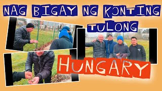 may nanghihingi ng pera samen na foreigner sa sárvár hungary