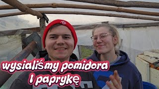 Wysiew pomidorów i papryki – TA metoda daje NAJLEPSZE rezultaty!