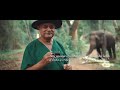 Elephant Friendly Tea | Cinematic Ad Film | Sony A6300, Canon 6D, Sigma 16mm 30mm Hero 7