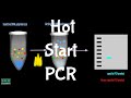 Hot Start PCR